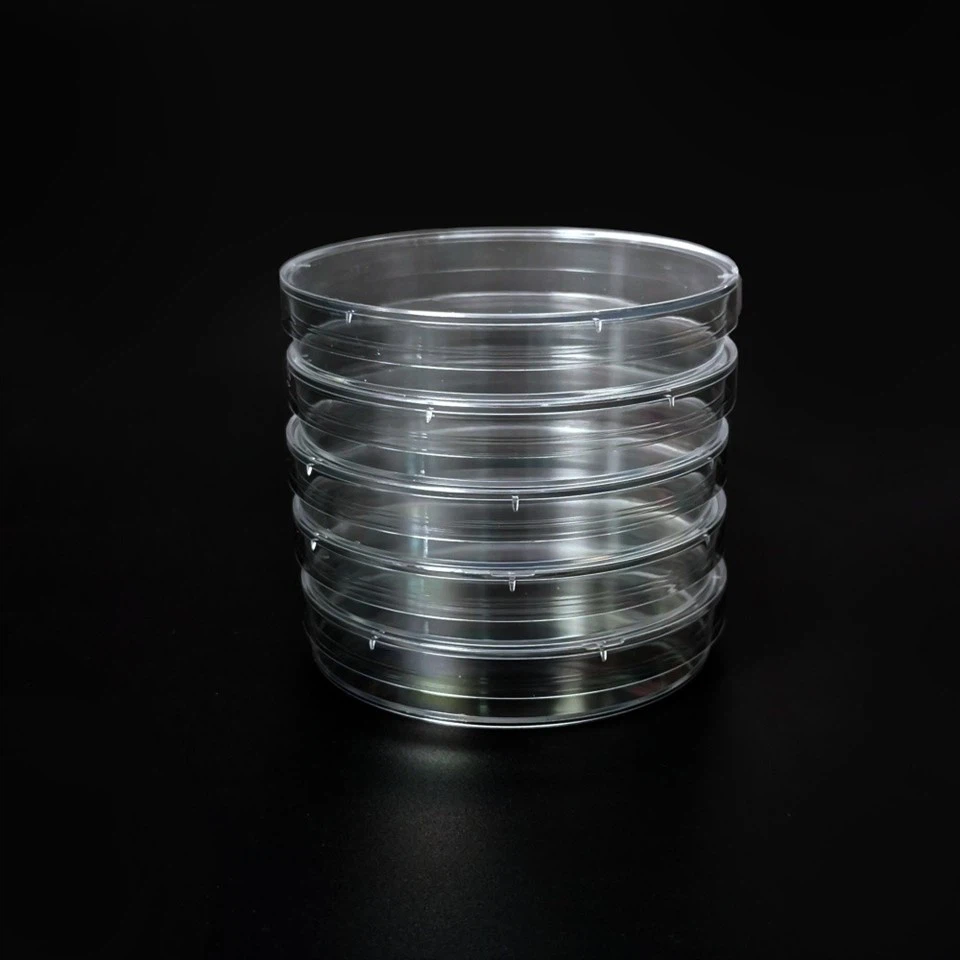 Bacteria Petri Dish (4)