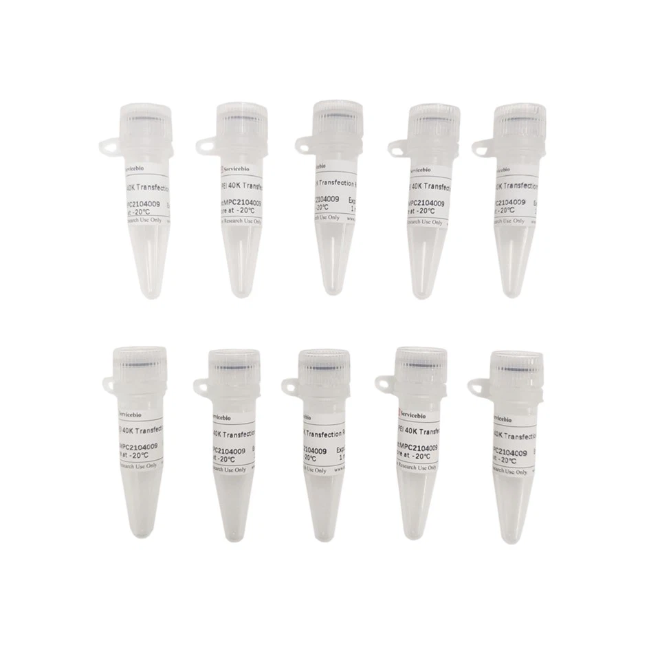 PEI 40K Transfection Reagent