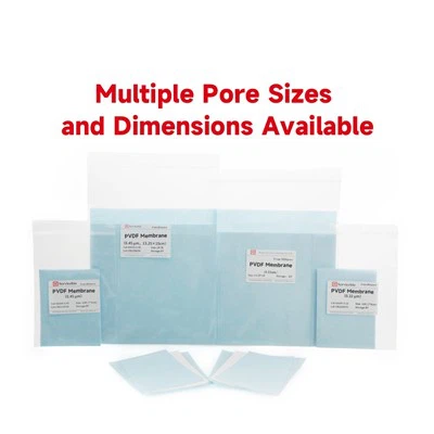 0.45 μm PVDF ঝিল্লি