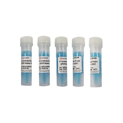 2×ইউনিভার্সাল ব্লু মাল্টিপ্লেক্স প্রোব QPCR মাস্টার মিক্স (UDG সহ)