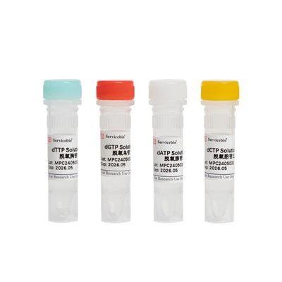 DNTPs সলিউশন কিট (dATP, DGTP, DCTP, DTTP, 100 MM Each)