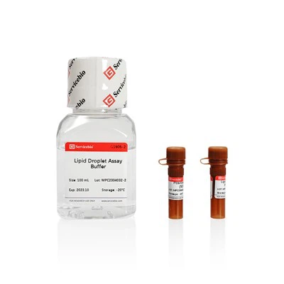 লিপিড ড্রপলেটস ফ্লুরোসেন্স অ্যাস কিট