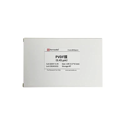 PVDF ট্রান্সফার মেমব্রেন (0.45μm, 5.5×8.5cm）)