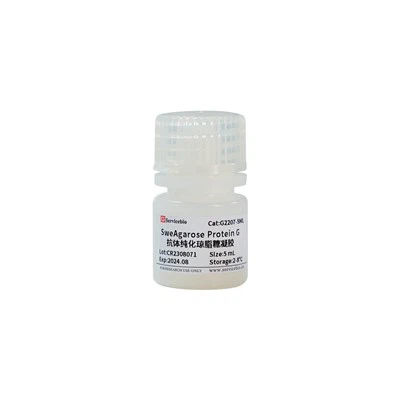 SweAgrose প্রোটিন G অ্যান্টিবডি বিশুদ্ধ Agarose