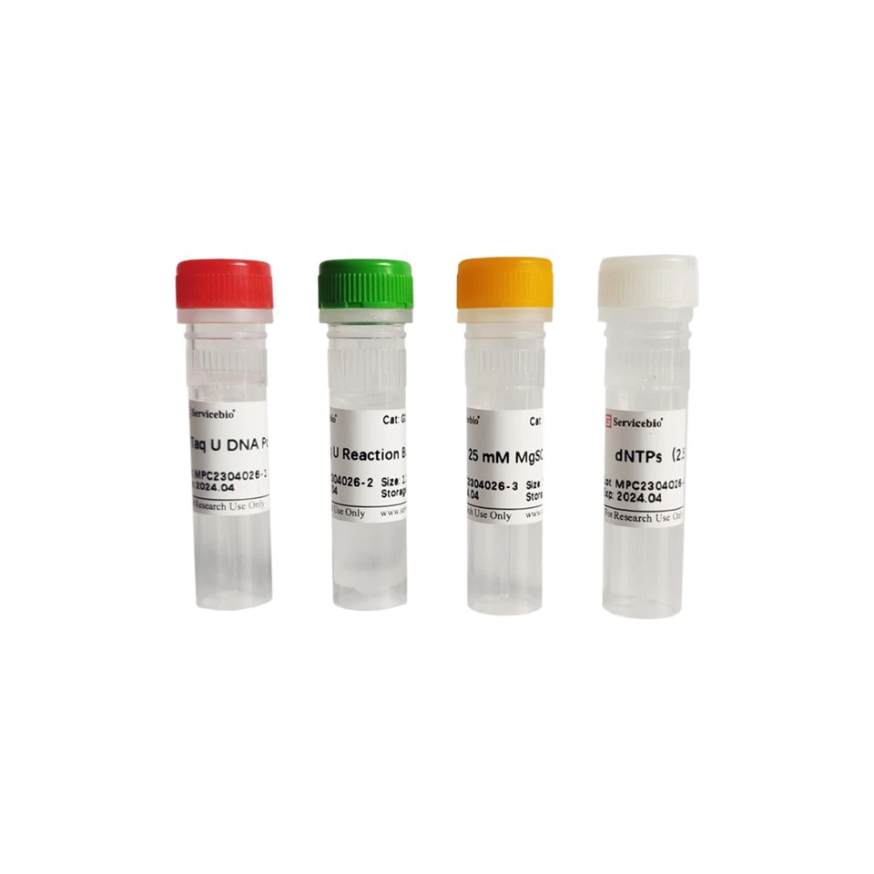 তাক ইউ ডিএনএ পলিমারেজ (বিসালফাইট-চিকিত্সা করা ডিএনএর জন্য)